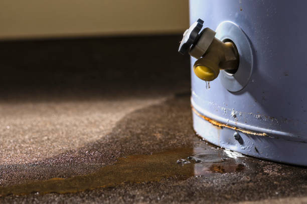 Best Sewage cleanup and water damage restoration  in Holley, NY