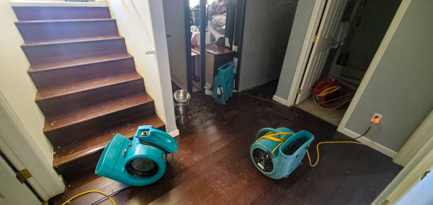 Reliable Holley, NY Water damage restoration Solutions