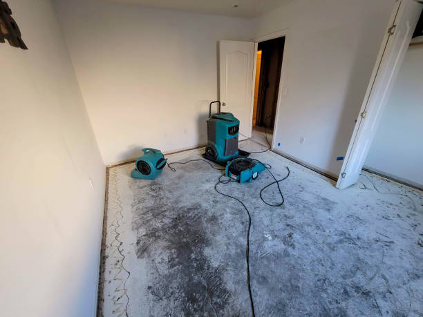Best Residential water damage restoration  in Holley, NY
