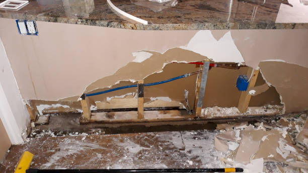 Best Flooded house restoration  in Holley, NY