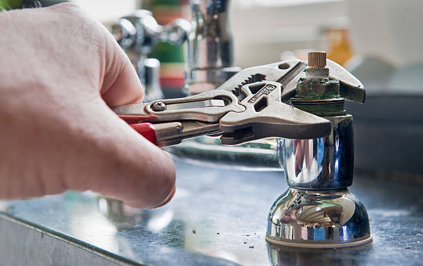 Best Mold removal after water damage  in Holley, NY