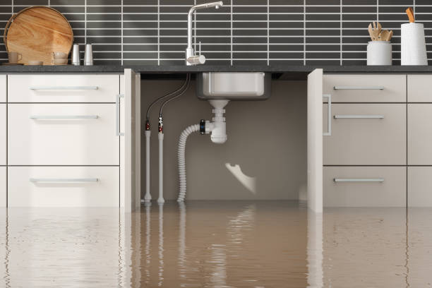 Best Ceiling water damage repair  in Holley, NY