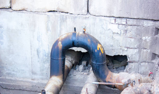 Best Local water damage restoration  in Holley, NY