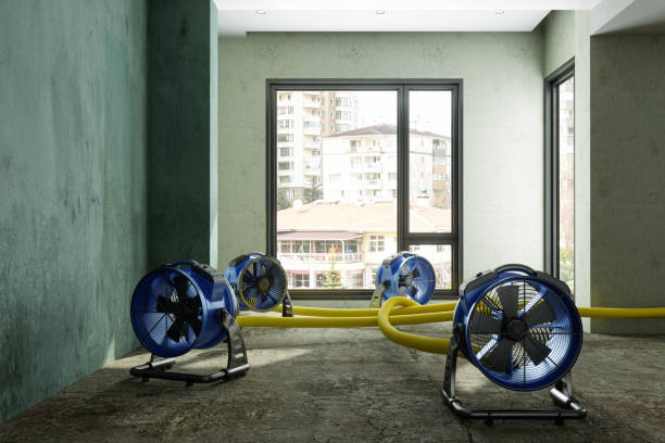 Best 24/7 water damage repair  in Holley, NY